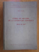 Palmira Arnaiz - Curso de historia de la literatura espanola. Siglo de oro
