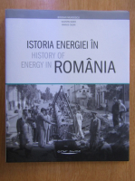 Bogdan Murgescu - Istoria energiei in Romania