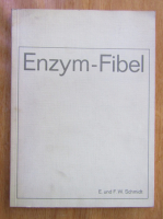 Anticariat: E. Schmidt - Enzym-Fibel