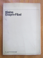 E. Schmidt - Kleine Enzym-Fibel