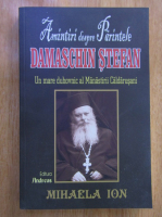Mihaela Ion - Amintiri despre Parintele Damaschin Stefan. Mare duhovnic al Manastirii Caldarusani