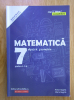 Anticariat: Anton Negrila - Matematica. Algebra, geometrie. Clasa a VII-a (volumul 2)