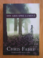 Chris Fabry - Din abis spre lumina