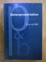 Eun-Ju Noh - Metarepresentation