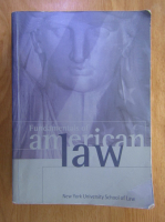 Alan B. Morrison - Fundamentals of American Law