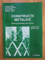 Catalina Moga - Constructii metalice. Module si exemple de calcul