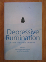 Depressive Rumination. Nature, Theory and Treatment