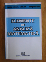 Janina Mihaela Mihaila - Elemente de analiza matematica