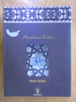 Metin Sozen - Anatolian Cities...