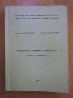 Anca Silvestru - Tehnologie chimica anorganica. Aspecte generale