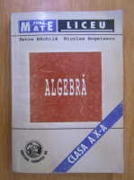 Petre Nachila - Algebra. Clasa a X-a