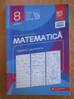 Anticariat: Anton Negrila, Maria Negrila - Matematica. Algebra, geometrie. Clasa a VIII-a (volumul 1)