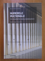 Anticariat: Bartolo Luque - Numere irationale