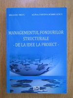 Dragos Gabriel Mecu - Managementul fondurilor structurale. De la idee la proiect
