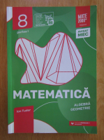 Ion Tudor - Matematica. Algebra, geometrie. Clasa a VIII-a. Caiet de lucru (volumul 1)