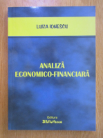Luiza Ionescu - Analiza economico-financiara