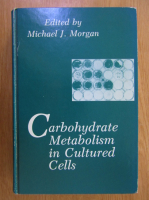 Michael J. Morgan - Carbohydrate Metabolism in Cultured Cells