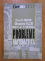 Paul Flondor, Gheorghe Gussi - Probleme matematica pentru clasa a 11-a
