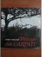 Iosef Fischer - Peisaje din Carpati