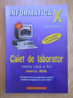 Carmen Minca - Informatica. Caiet de laborator pentru clasa a X-a