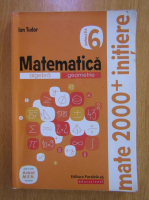 Ion Tudor - Matematica. Algebra, geometrie. Caiet de lucru. Clasa a 6-a, partea a II-a