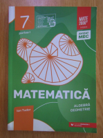 Anticariat: Ion Tudor - Matematica. Algebra, geometrie. Caiet de lucru. Clasa a VII-a, partea I