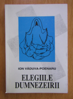 Anticariat: Ion Vaduva Poenaru - Elegiile dumnezeirii