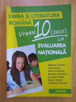 Anticariat: Mihaela Daniela Cirstea - Limba si literatura romana. Vreau 10 la Evaluarea Nationala