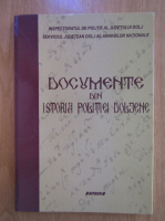 Nicolae Vilvoi - Documente din istoria politiei doljenei