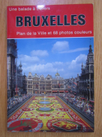 Une balade a travers Bruxelles