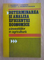 V. Baghinschi - Determinarea si analiza eficientei economice a investitiilor in agricultura