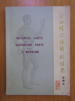 Anatomical Charts of the Acupuncture Points and 14 Meridians