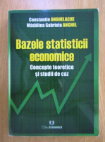 Constantin Anghelache - Bazele statisticii economice
