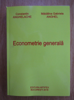 Constantin Anghelache - Economia generala