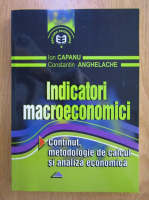 Anticariat: Ion Capanu - Indicatori macroeconoici