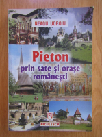 Anticariat: Neagu Udroiu - Pieton prin sate si orase romanesti
