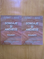 Vergil Voineagu - Sondaje si anchete (2 volume)