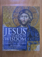 Andrea Kirk Assaf - Jesus Little Book of Wisdom