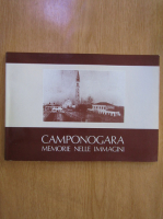 Camponogara. Memorie nelle immagini