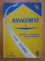 Dan Anghel Constantinescu - Management (volumul 1)