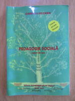 Gabriela Kelemen - Pedagogie sociala