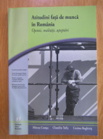 Mircea Comsa - Atitudini fata de munca in Romania