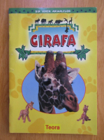 Din viata animalelor. Girafa