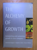 Mehrdad Baghai - The Alchemy of Growth