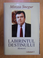 Mircea Snegur - Labirintul destinului (volumul 2)