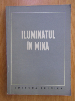 P. Anastasescu - Luminatul in mina