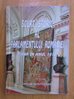 Scurt istoric al Parlamentului Romaniei pana in anul 1918. Camera deputatilor