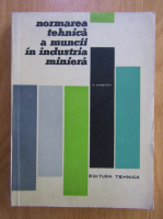 Vasile Banciu - Normarea tehnica a muncii in industria miniera