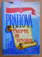 Ion Baciu - Prahova. Trepte in istorie