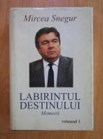 Mircea Snegur - Labirintul destinului (volumul 1)